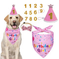 Cute Dog Birthday Hat Set Adjustable Sequins Pet Birthday Caps Colorful with Numbers Bowtie Dog Birthday Bib Pet Birthday Party