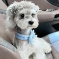 Pet Cooling Ice Scarf Cool Ice Breathable Towel Heatstroke Dogs Cats Ice Collar Cat Adjustable Collar Bib Pet Supplies
