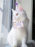 1 Set Pet Birthday Scarf Cute Delicate Lace Bib, Cat & Dog Birthday Party Celebration Prevent saliva Towel