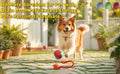 Self-Moving Automatic Cat Teaser Ball with Faux Tail Rechargeable Smart Sensor Cat Toy for Indoor Cats Cat Toys Interactive