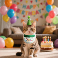 Pet Cat Dog Birthday Outfit - Birthday Hat and Bib Set,Cute Birthday Scarf Bib & Party Hat Adjustable Pet Birthday Supplies