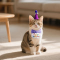 Pet Cat Dog Birthday Outfit - Birthday Hat and Bib Set,Cute Birthday Scarf Bib & Party Hat Adjustable Pet Birthday Supplies