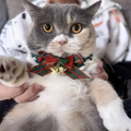 Cute Cat Bow Collar Wool Crocheted Christmas Cats Bowtie Collar Bow Tie Pet Bib for Indoor Cats Kitten and Small Dogs Puppies
