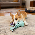 Pet Dog Plush Octopus Toy Interactive Sound Anti-demolition Home Teeth Grinding Large and Small Dog Relieve Boredom Dog Supplies