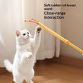 2 In 1 Retractable Cat Teaser Wand, Double-Sided Pet Massager Interactive Kitten Grooming Itch Relief Toy
