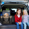 Airline Approved Expandable Pet Carrier for Small Cats, Collapsible Travel Bag with 600D Oxford, Safety Lock Zipper,S