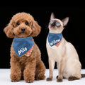 Personalized Pet Bib Bandana, Denim Fabric with Checkered Lining, Customizable Name for Dogs & Cats