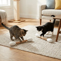 Large Size Cat Grinding Biting Stick Bite Resistant Durable Giant Cotton Swabs Cat Toys Cotton Swab Shaped Kitten Chew Sticks