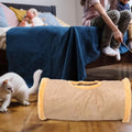 Foldable Cat Toys, Plush Cat Toy Tunnels, Playful Cat Tents, Suitable for Dogs and Cats To Play With