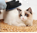 Massage pet bathing brush, pet supplies, dog grooming glove, pet bathing glove, cat grooming glove dog supplies cat supplies