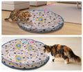 Interactive Cat Toys Ball Cover Set Fast Rolling in Pouch Hide and Seek Kitten Toy Motion Activated Interactive Cat Toy Indoor