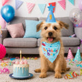 Cute Dog Birthday Hat Set Adjustable Sequins Pet Birthday Caps Colorful with Numbers Bowtie Dog Birthday Bib Pet Birthday Party