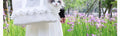 Summer Portable Breathable Pet Carrier Bag - Shoulder Handbag for Small Dogs and Cats Fashion Classic Black White Puppy Carriers