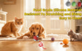 Self-Moving Automatic Cat Teaser Ball with Faux Tail Rechargeable Smart Sensor Cat Toy for Indoor Cats Cat Toys Interactive