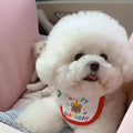 100% Cotton Pet Bib Lace Edge Bear Print Dog Bandana Saliva Towel for Small Dogs Cats Puppy Accessories