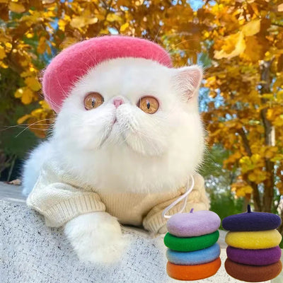 Pet Hat Solid Color Painter Wool Cap Dog Cat Caps Beret Mini Decorative Photo Headwear Pet Memorial Christmas Perro Sombrero