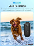 4K HD Mini Pet Collar Camera Wide Angle Lens 1080P FHD Portable Dog Cat Neck Camera Vlog Sport Action Body  WiFi Video Recording