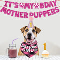 Dog Birthday Party Kit - Bandana, Hat, Bow Tie & Bday Banner for Small Dogs, Puppy Decor with It’s My Bday Signs Boy/Girl